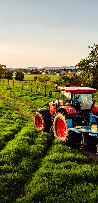 Stawiamy na jakość